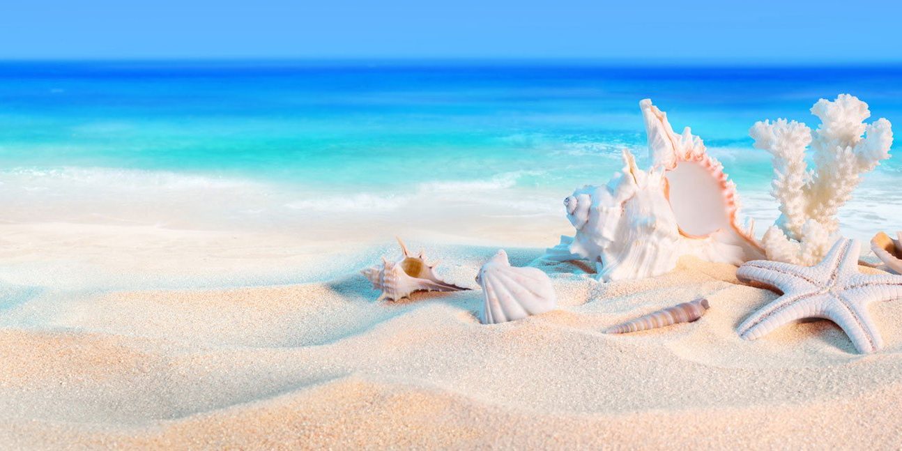 tabara la mare AMSPTB